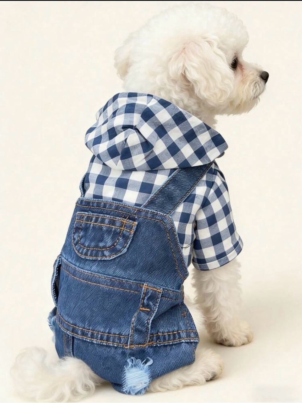 Blue Gingham Hooded Shirt & Denim Overalls Dog Outfit